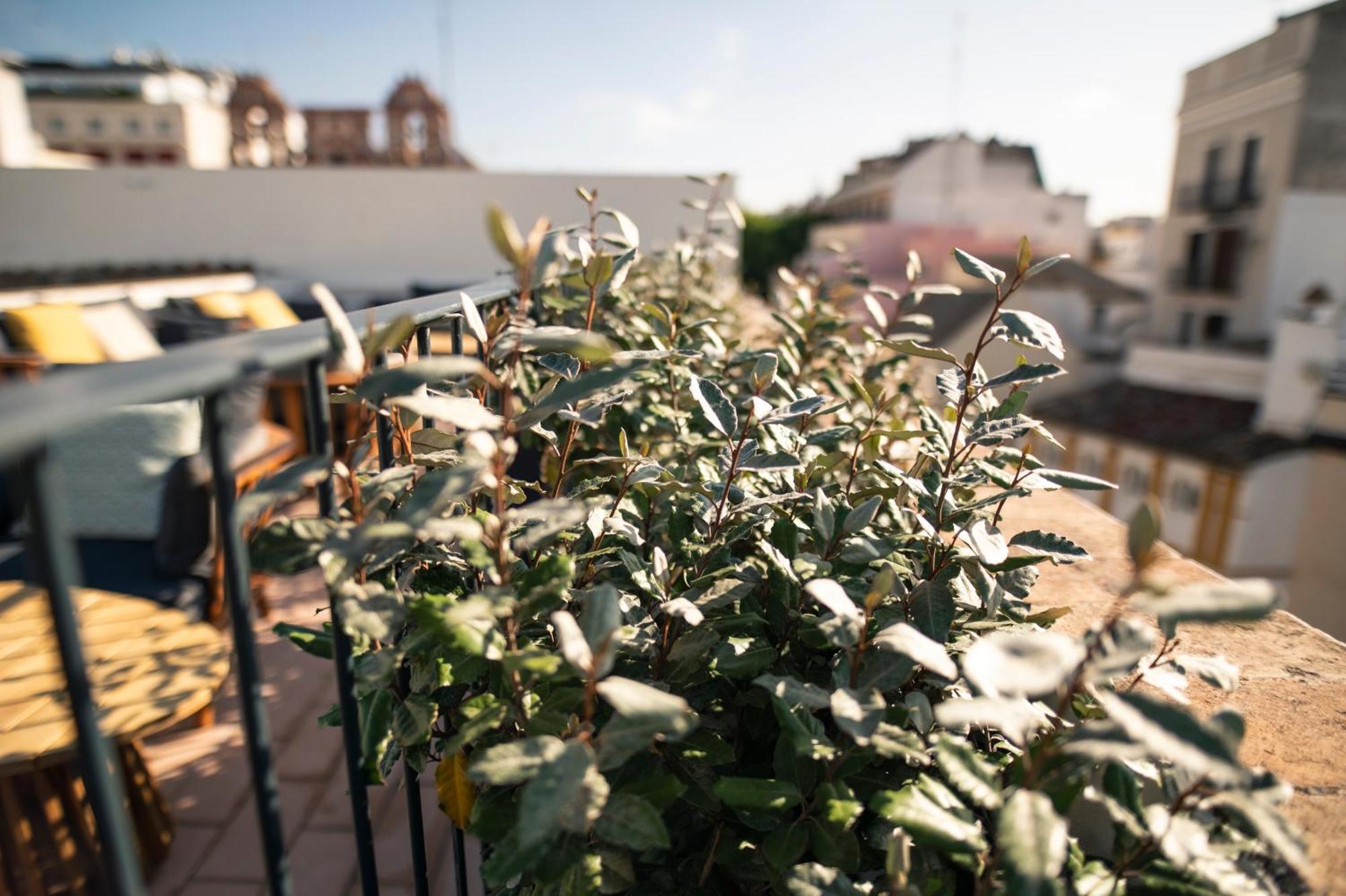 Legado Magdalena Hotel Seville Ngoại thất bức ảnh
